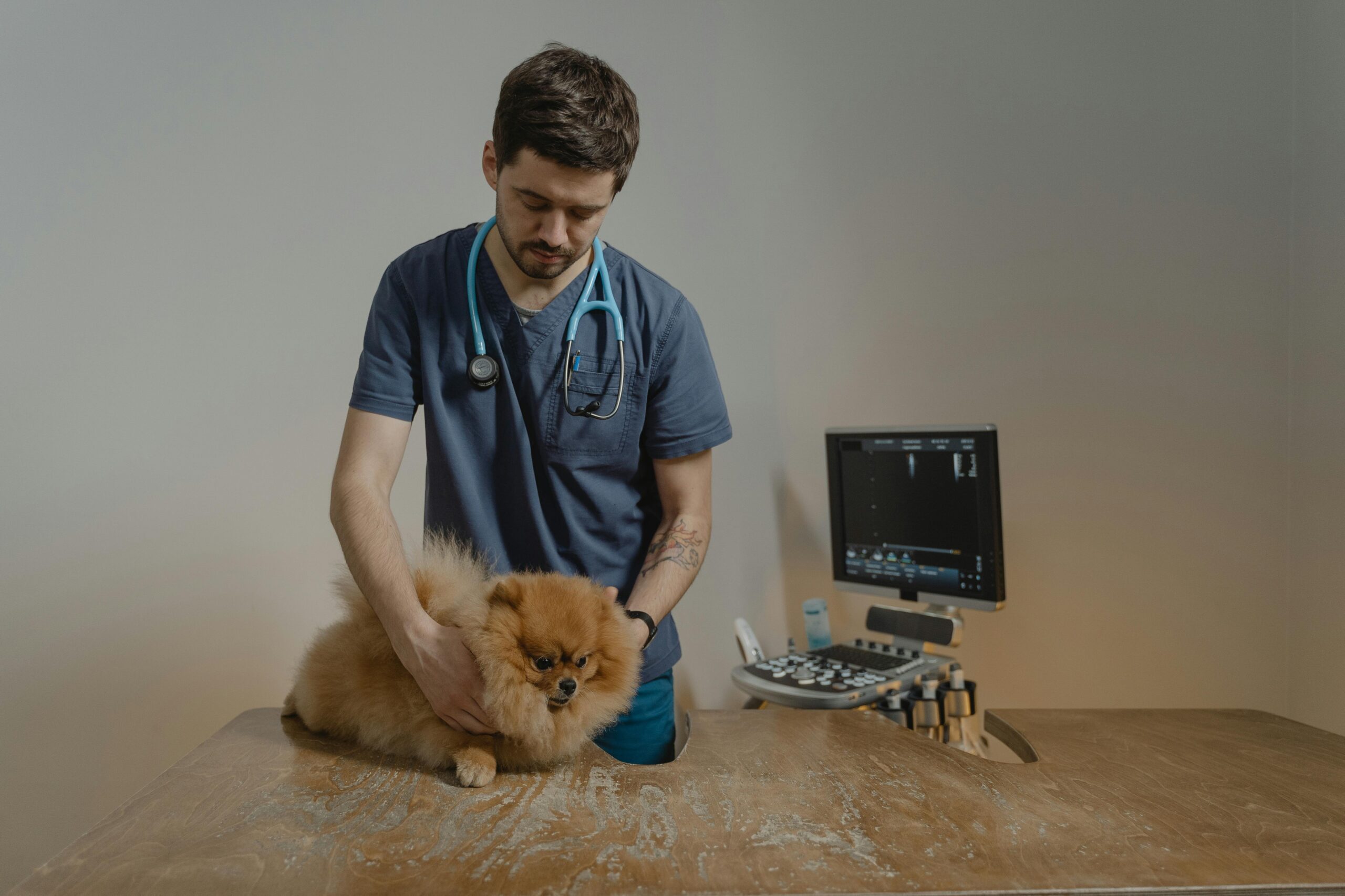OC Veterinary Assistant School - Veterinary Assistant Helping Veterinary Technician Examine Dogs Ear