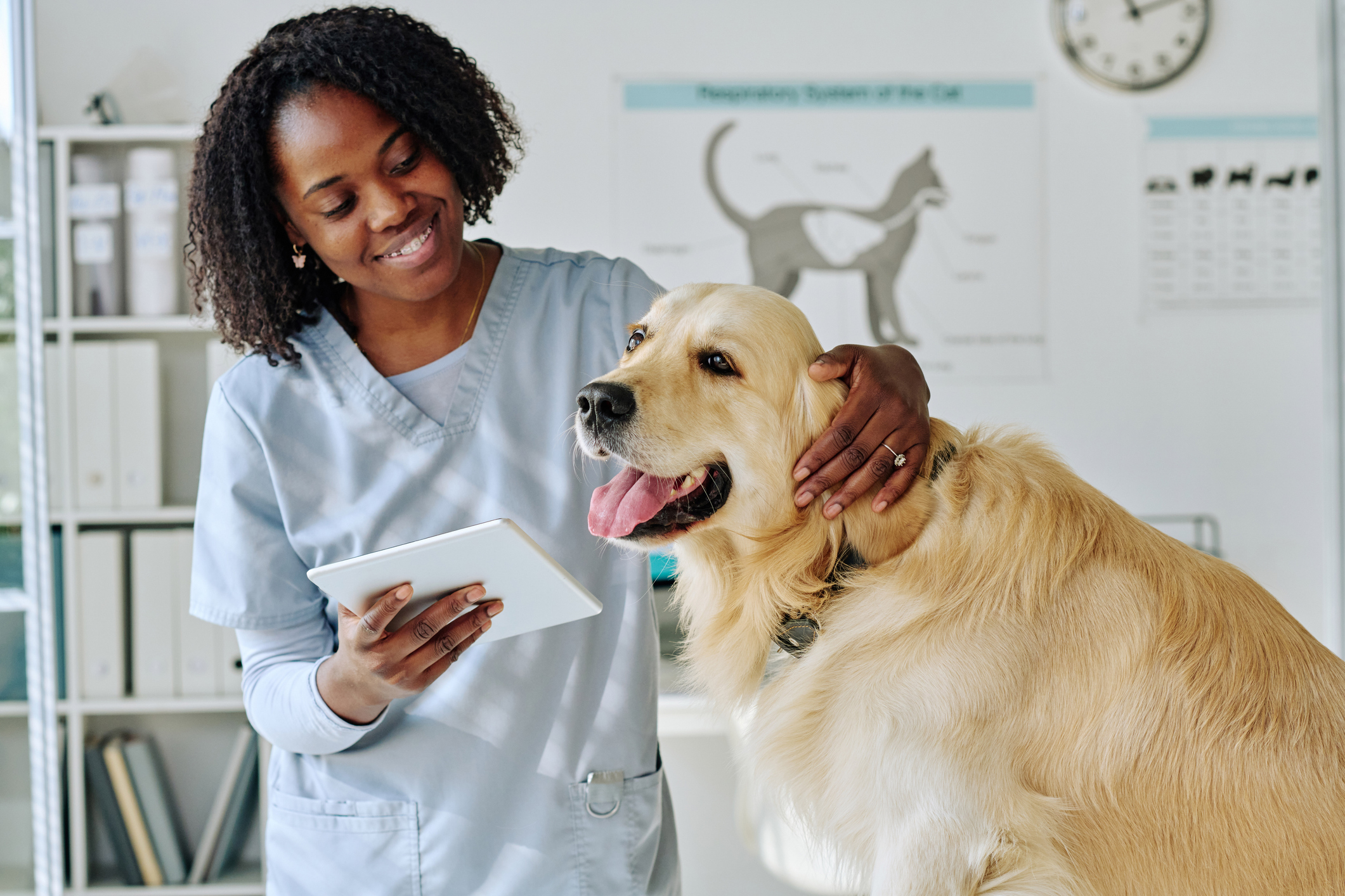 OC Veterinary Assistant School - Veterinary Assistant Helping Veterinary Technician Examine Dogs Ear