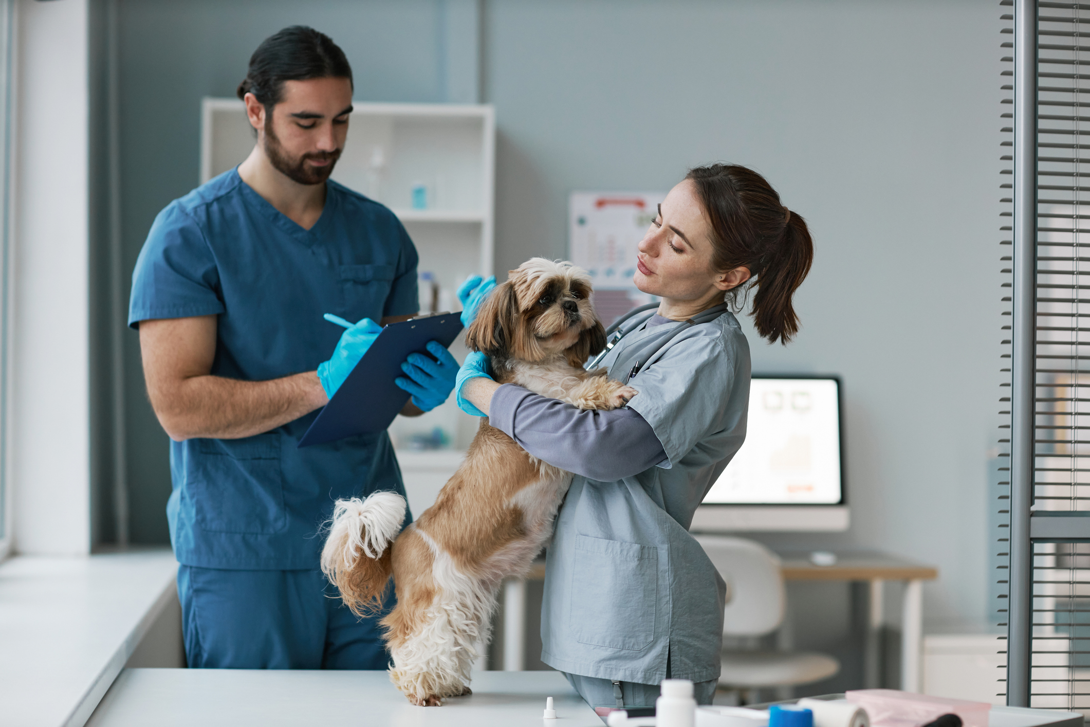 OC Veterinary Assistant School - Veterinary Assistant Helping Veterinary Technician Examine Dogs Ear