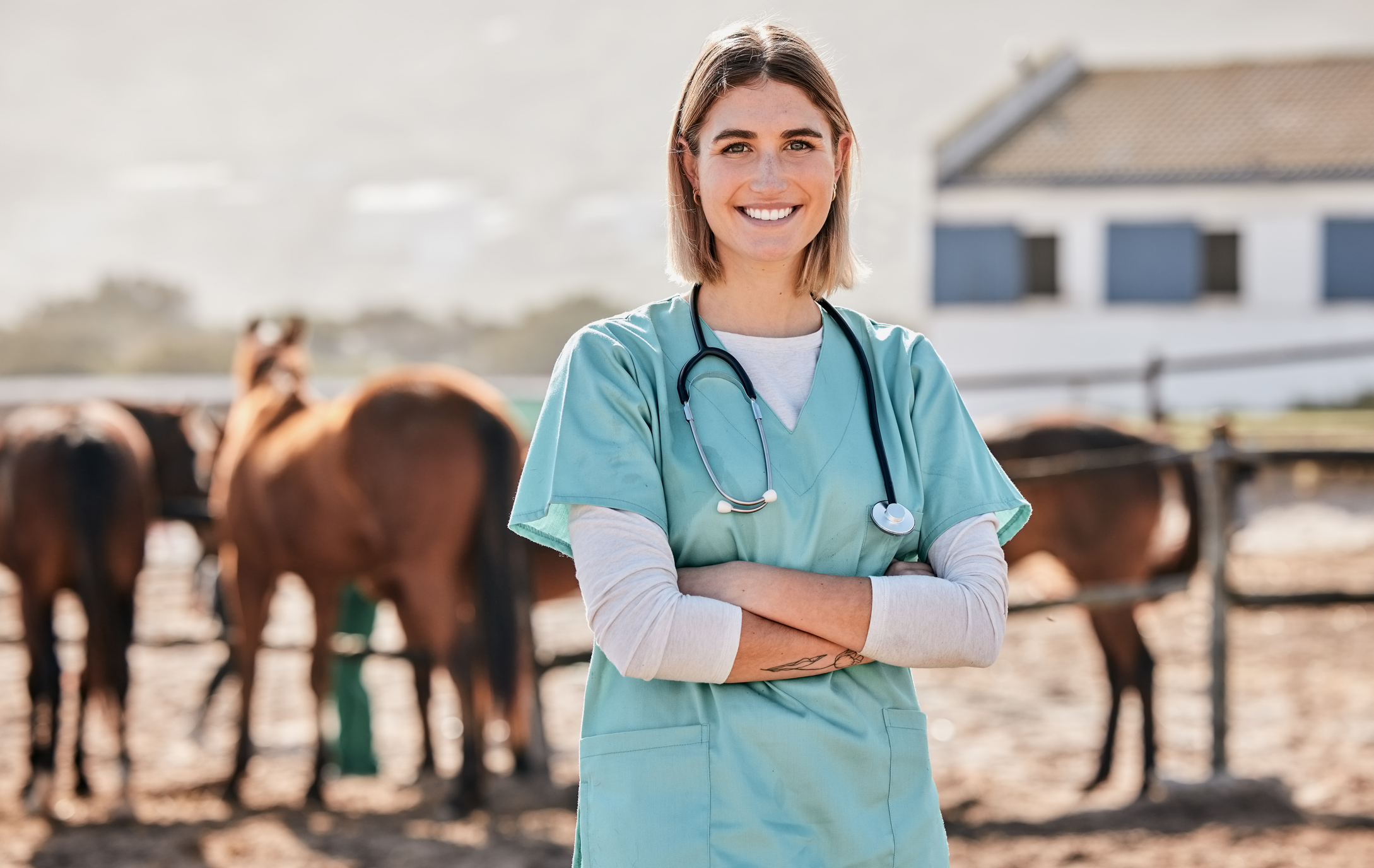 OC Veterinary Assistant School - Veterinary Assistant Helping Veterinary Technician Examine Dogs Ear