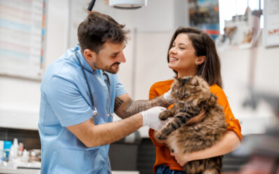A Day in the Life of a Veterinary Assistant