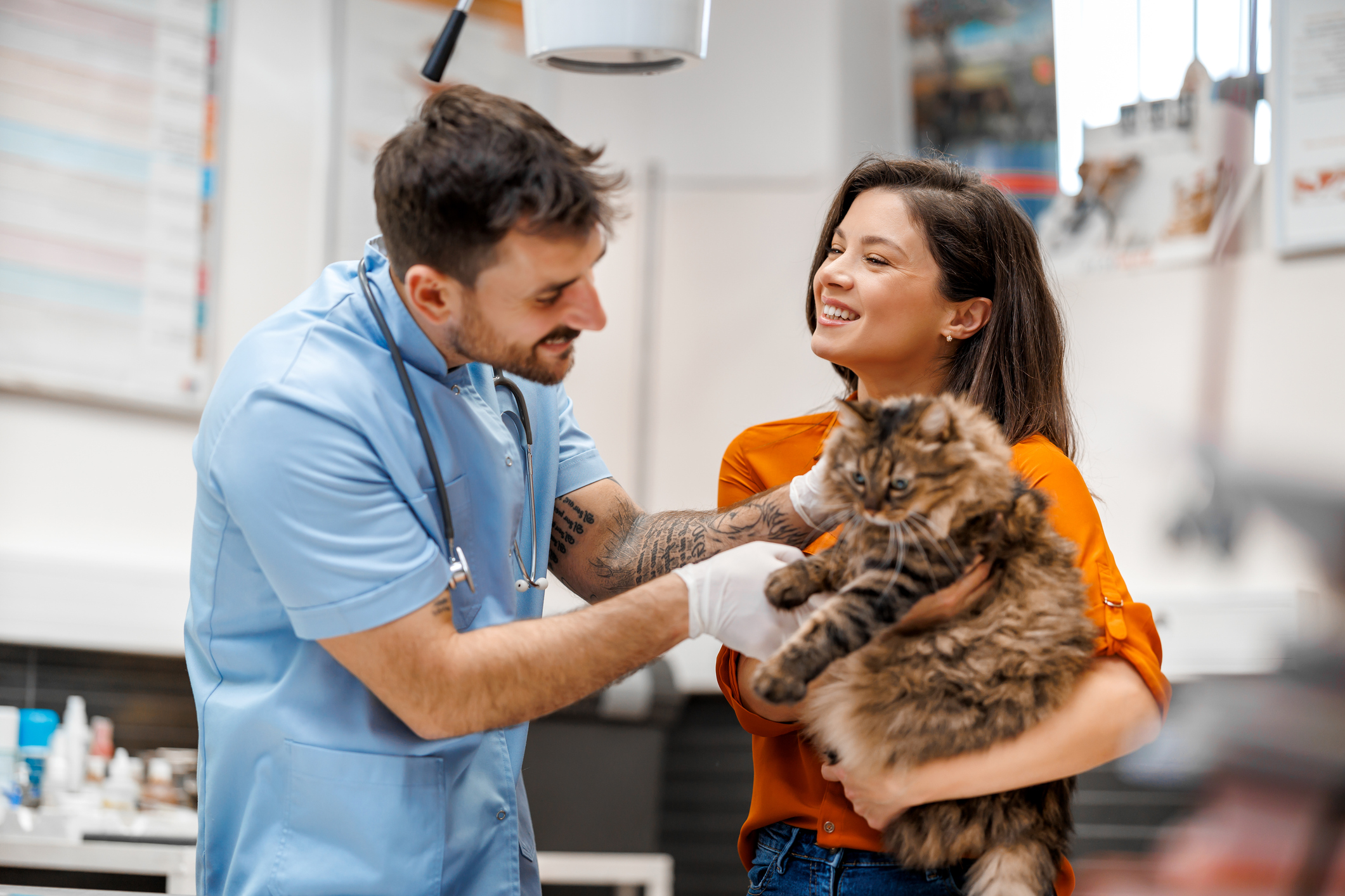 OC Veterinary Assistant School - Veterinary Assistant Helping Veterinary Technician Examine Dogs Ear