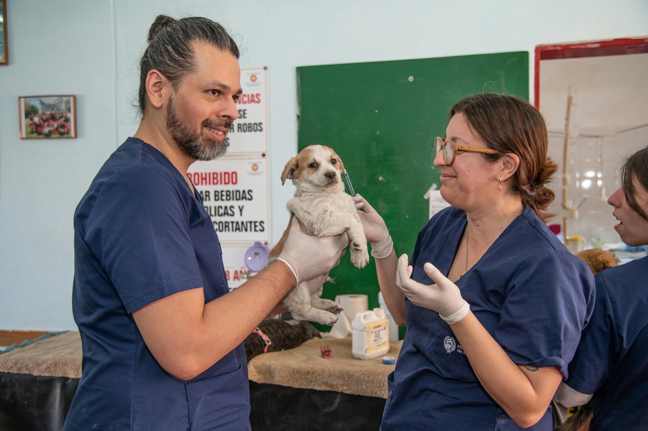OC Veterinary Assistant School - Veterinary Assistant Helping Veterinary Technician Examine Dogs Ear OC Veterinary Assistant School - Veterinary Assistant Helping Veterinary Technician Examine Dogs Ear